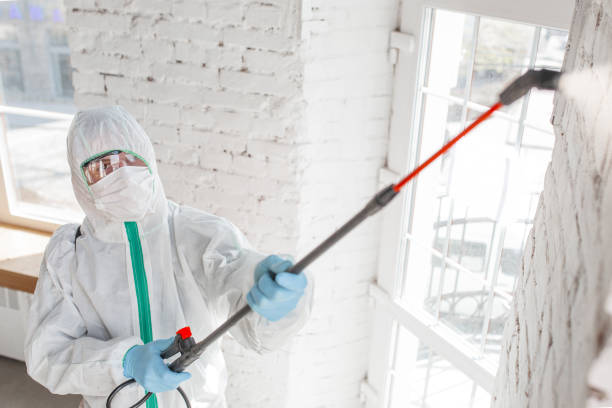 Biohazard Mold Removal in Hugo, MN