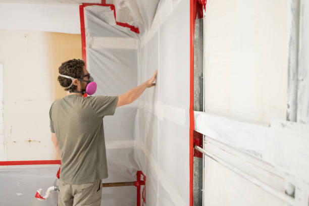 Best Emergency Mold Remediation  in Hugo, MN