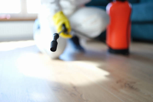 Best HVAC Mold Inspection and Cleaning  in Hugo, MN