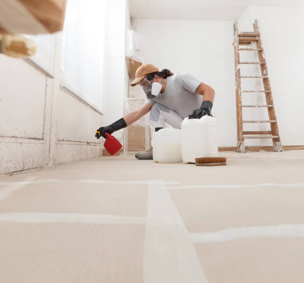 Best Industrial Mold Remediation  in Hugo, MN