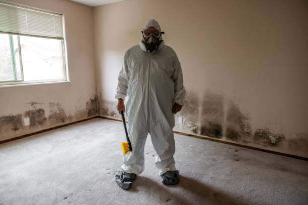 Best Asbestos and Lead Testing During Mold Inspection  in Hugo, MN